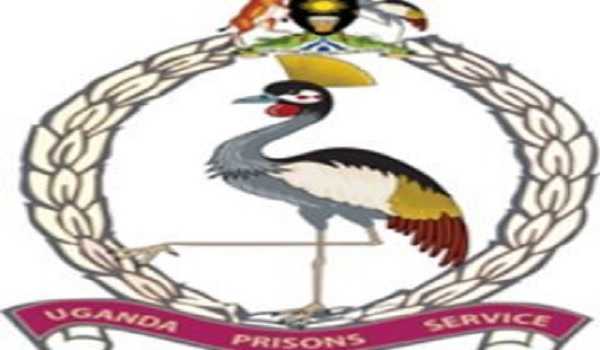 Ugandan president pardons 200 prisoners on humanitarian grounds