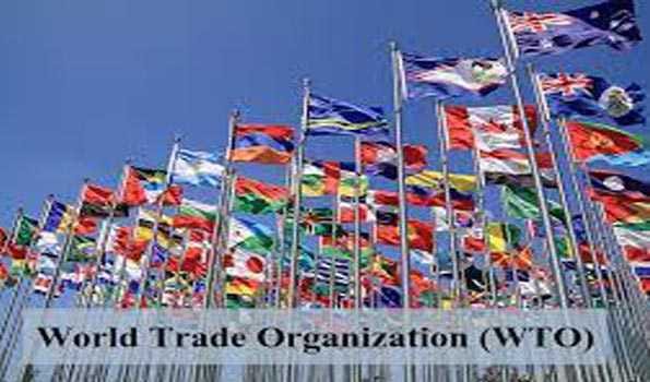 Ukraine files import ban lawsuits against Poland, Hungary, Slovakia in WTO
