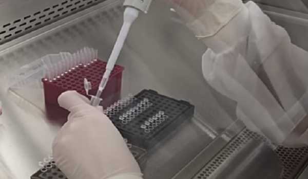 Cambodia records 2nd death from H5N1 bird flu so far this year