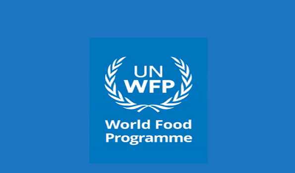 WFP says operations in Gaza halted after UNRWA warehouses looted, communications ceased