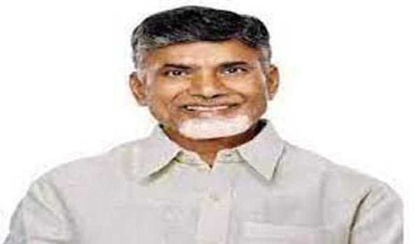 Skill Development case: AP HC grants interim bail to Ex-CM and TDP prez Naidu