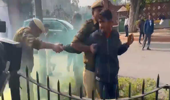 Police detain two people for protesting outside Parliament with smoke canisters
