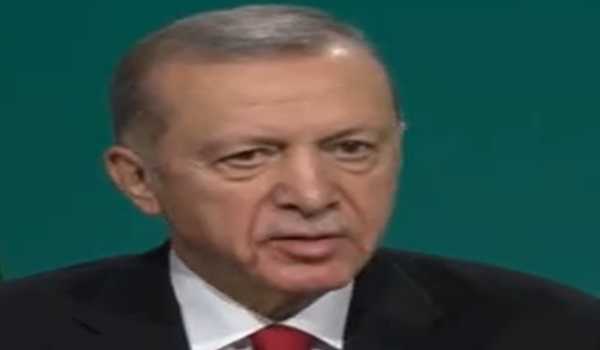 Erdogan discussed steps toward Gaza ceasefire with UAE leader