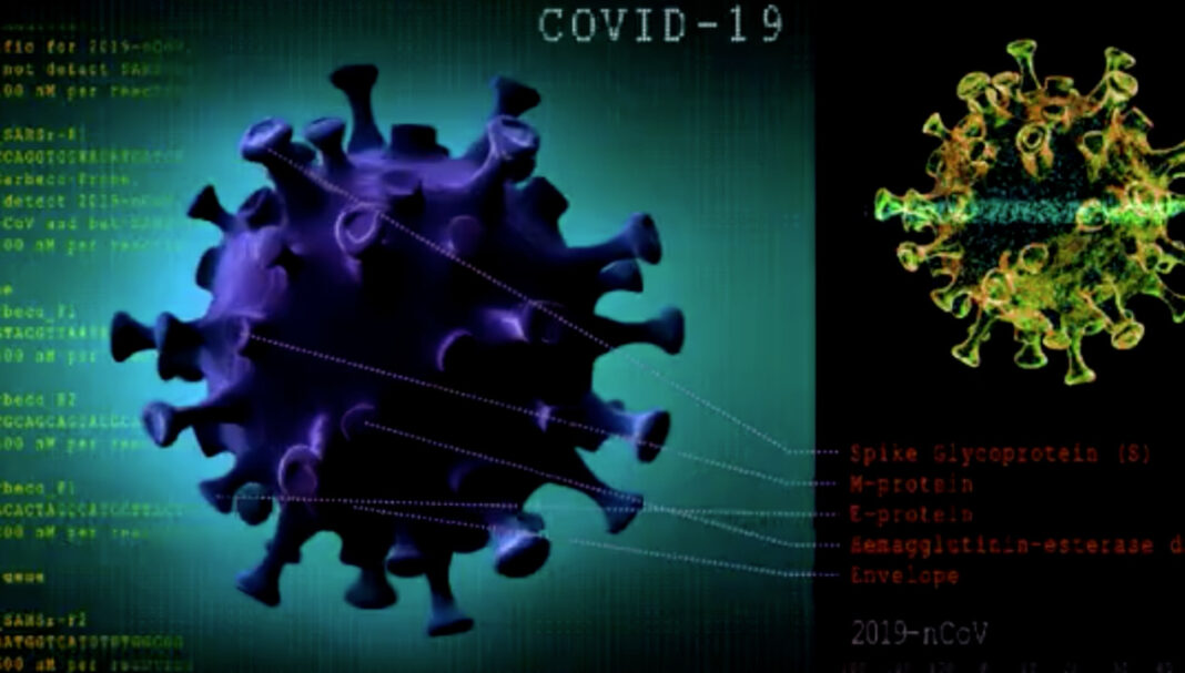 ‘Indisputable’ evidence found by Japanese virologists proves all COVID-19 variants man made