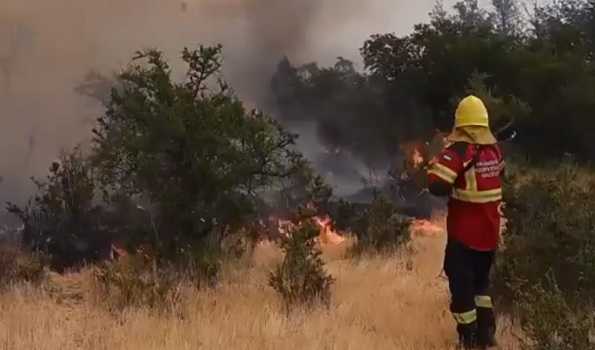 Forest fire razes over 8,200 hectares of Argentina national park