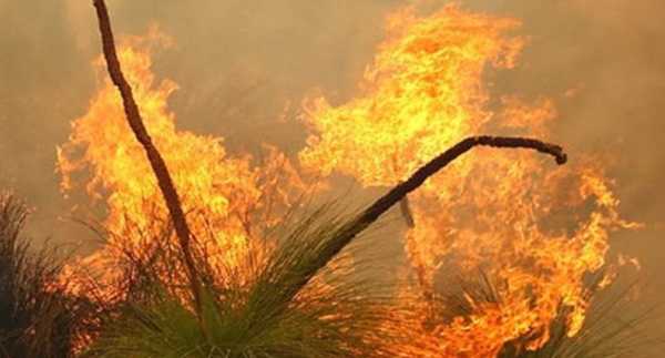 Bushfire “contained but not controlled” after properties destroyed in Western Australia