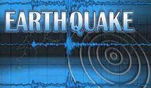 6.0-magnitude earthquake jolts Japan’s Ogasawara Islands: JMA