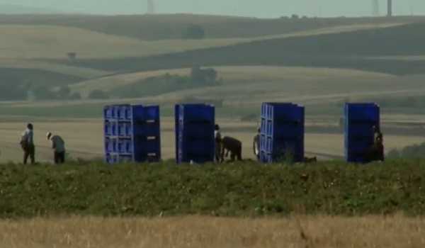 Indian farm labourer dies in Italy after arm severed