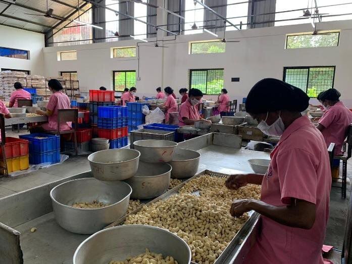 Goa must get bullish to capture a large share of $2.9 Billion Cashew industry