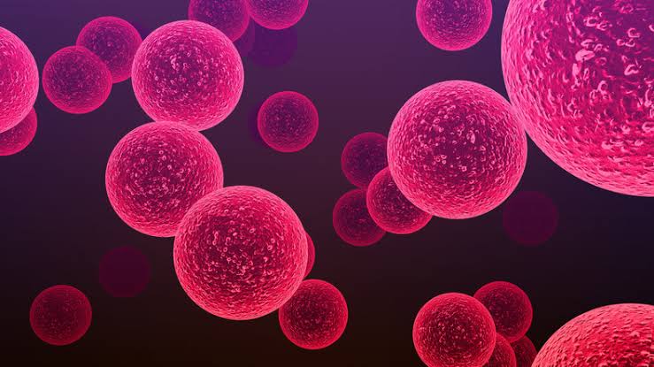 How Is an Infection Treated?