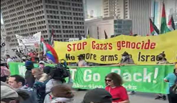 Rally in support of Palestine held in Chicago before Democratic Convention