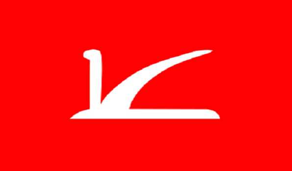 Scions of J&K political families eye electoral debut