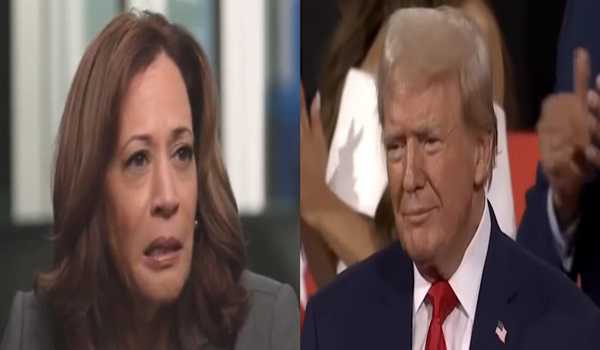 Harris leads Trump by 2% for total 49% support among likely US voters: Emerson Poll