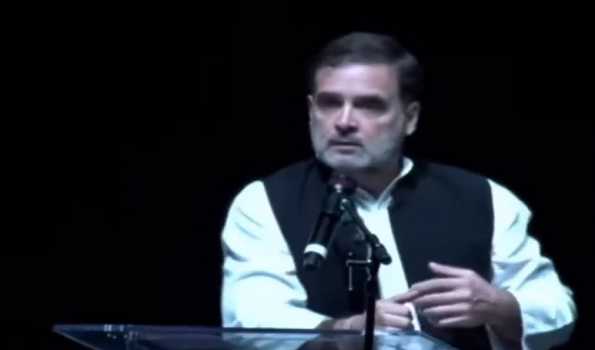 Unlike RSS, Cong believes it multiplicity of ideas: Rahul