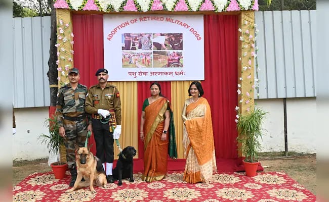 Army’s retired silent warriors military dogs, set to begin a new chapter.