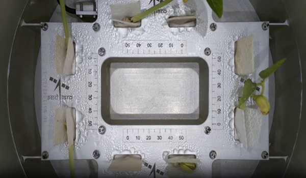 Cultivating crops to produce food in space for manned mission astronauts: A Leap in Space Biological Experiments0