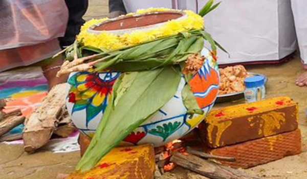 Religious fervour, gaiety mark Pongal celebrations in TN