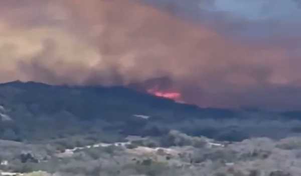 Wildfire in U.S. Texas spreading over 2,300 acres