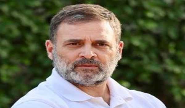 Waqf Amendment Bill bid to marginalise Muslims: Rahul