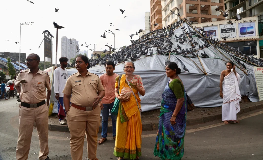 Mumbai civic body fines over 150 people for illegally feeding pigeons