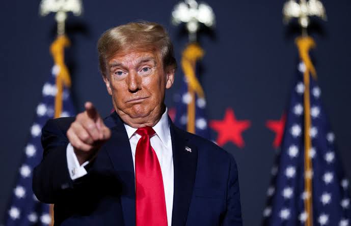 Most Americans Are Dumb—and Trump Is the Mirror
