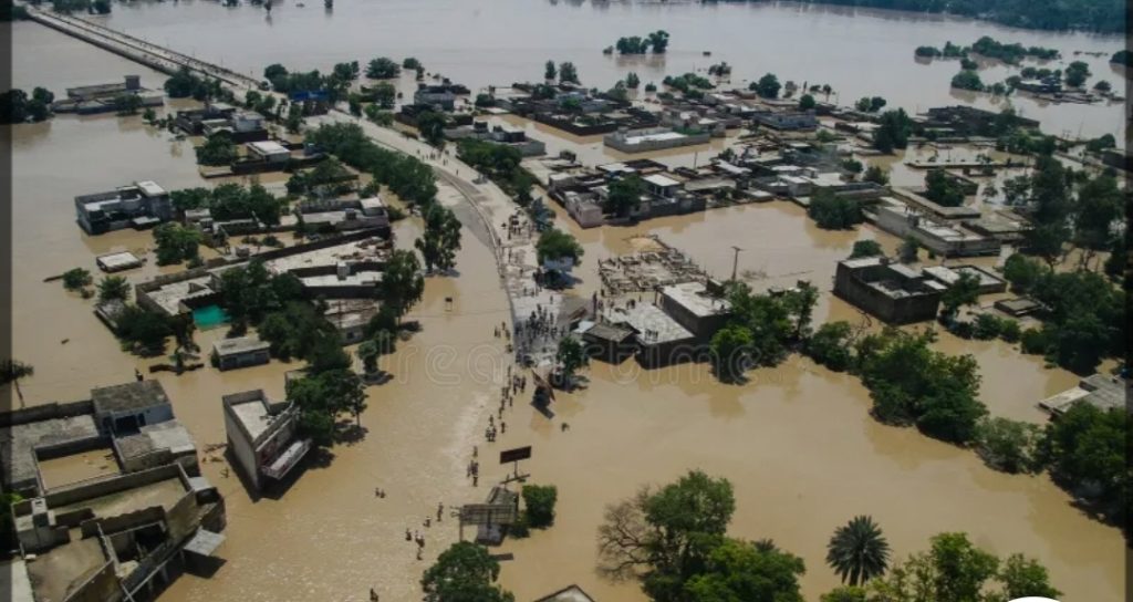Punjab declared disaster-hit as floods ravage all districts, submerge over 1,400 villages, claim 30 Lives