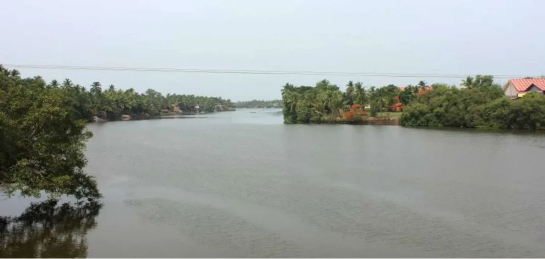 Goa Must Focus on Building a Water Economy Before It Becomes a Thirsty Paradise
