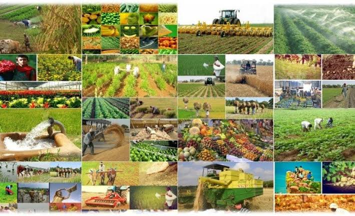 Beyond Mining and Tourism — The Seven Economic Sectors That Can Redefine Goa’s Future